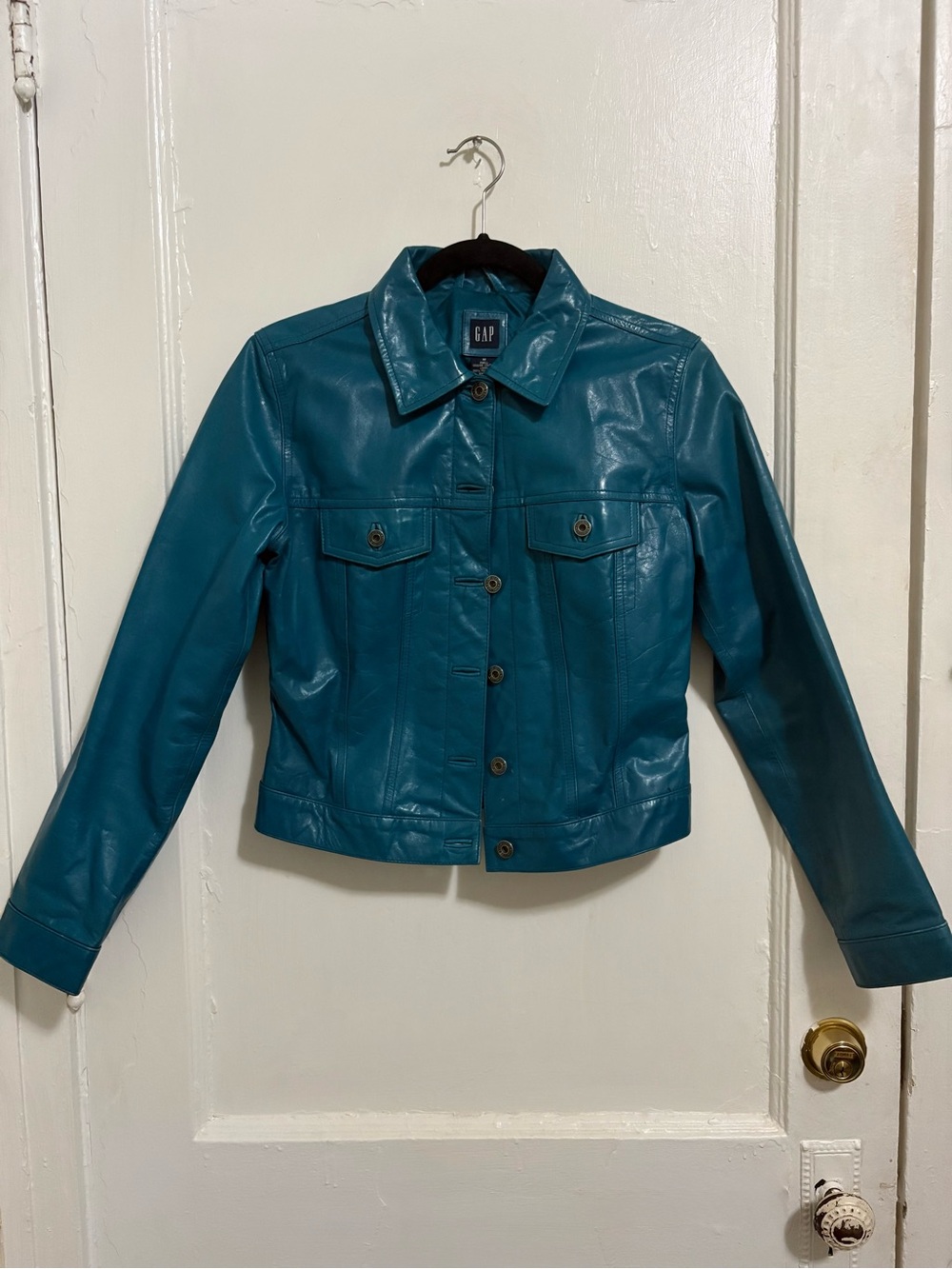 Real Leather Button-Front Jacket (GAP)